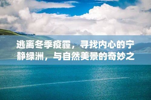 冬季疫霾中的心灵绿洲，与自然美景的奇妙逃离之旅