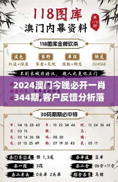 2024澳门今晚必开一肖344期,客户反馈分析落实_户外版19.953