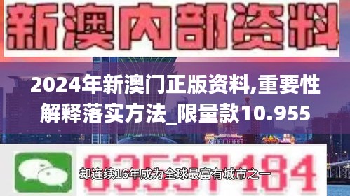 2024年新澳门正版资料,重要性解释落实方法_限量款10.955