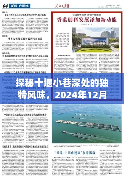 探秘十堰小巷风味背后的故事，确诊背后的独特风味之旅（2024年12月9日）