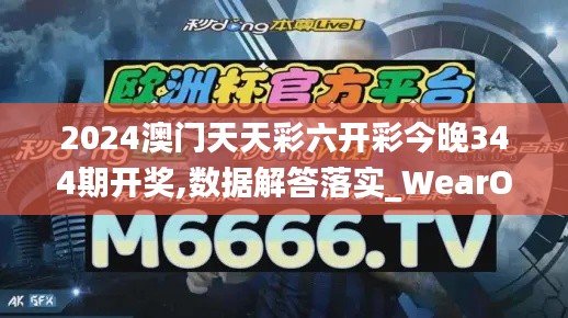 2024澳门天天彩六开彩今晚344期开奖,数据解答落实_WearOS6.878