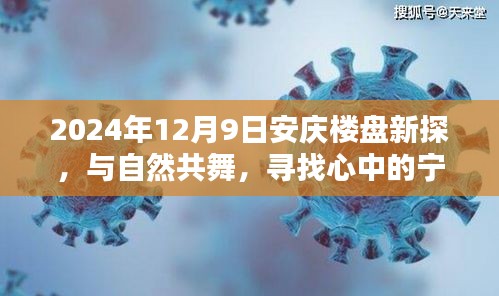 2024年安庆楼盘新探，与自然共舞，宁静港湾探寻记