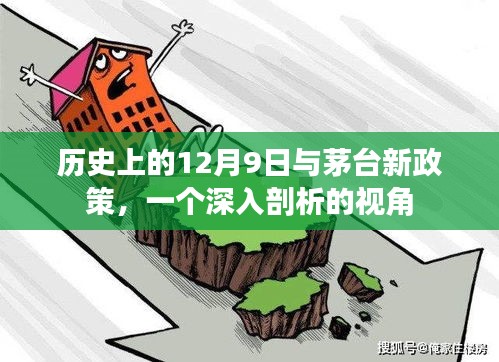 历史上的12月9日与茅台新政策深度解读