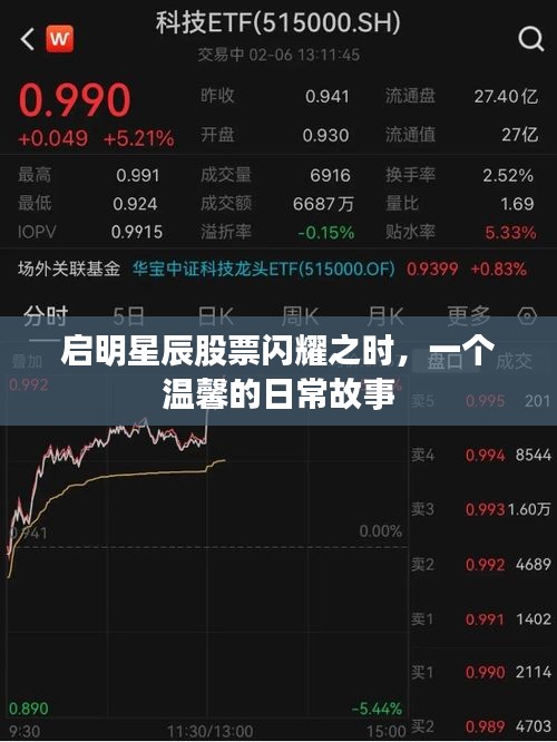 2024年12月10日 第33页