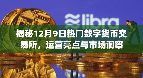 揭秘热门数字货币交易所运营亮点与市场洞察，深度解析十二月九日动态