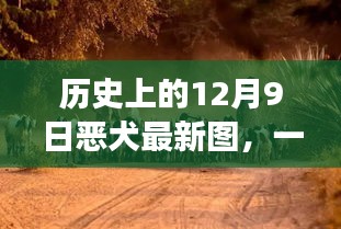 恶犬最新图与心灵之旅，自然美景的探寻与纪念——历史上的12月9日回顾