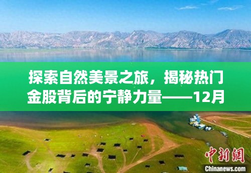 揭秘自然美景背后的宁静力量，热门金股推荐与探索之旅（12月10日）