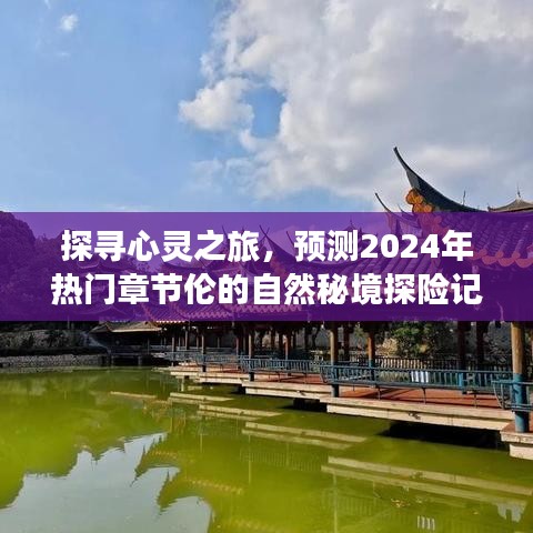 探寻心灵之旅，揭秘自然秘境探险记，预测2024年热门章节伦