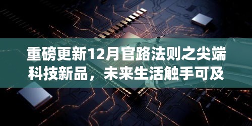 2024年12月10日 第12页