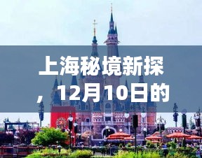 上海秘境新探，自然乐园之旅，寻找内心的宁静与平和（12月10日）