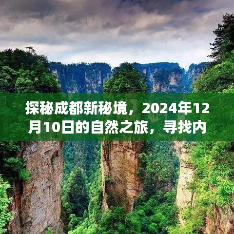 探秘成都新秘境，寻找内心的桃花源——2024年12月自然之旅启程日