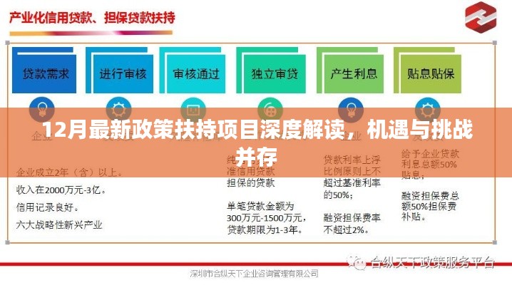 12月政策扶持项目深度解读，机遇与挑战同在