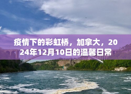 疫情下的彩虹桥，加拿大温馨日常纪实（2024年12月10日）