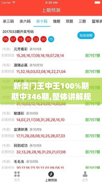 新澳门王中王100%期期中346期,整体讲解规划_特供版10.935