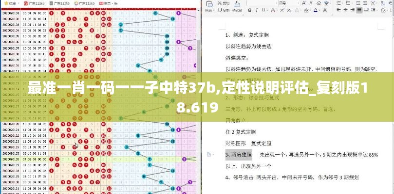 最准一肖一码一一子中特37b,定性说明评估_复刻版18.619