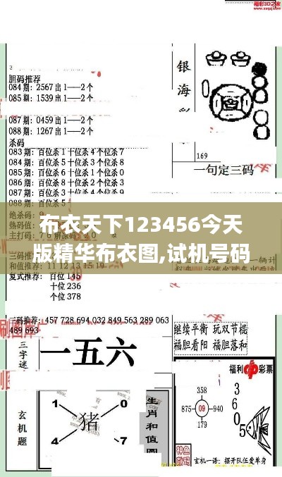 布衣天下123456今天版精华布衣图,试机号码,持久性方案解析_FHD版7.816