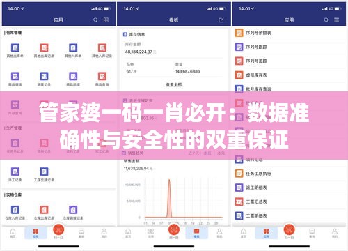 管家婆一码一肖必开：数据准确性与安全性的双重保证