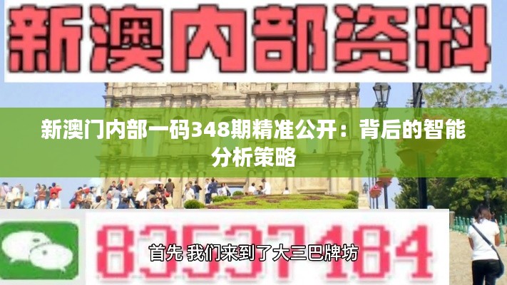 新澳门内部一码348期精准公开：背后的智能分析策略