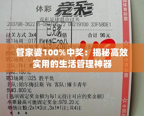 管家婆100%中奖：揭秘高效实用的生活管理神器