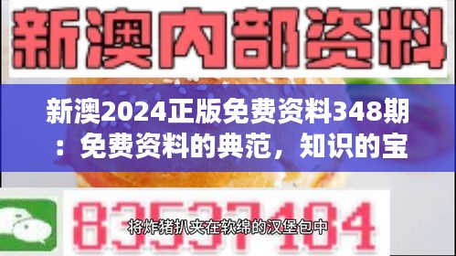 新澳2024正版免费资料348期：免费资料的典范，知识的宝库