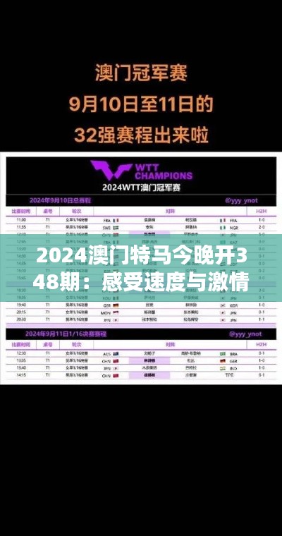 2024澳门特马今晚开348期：感受速度与激情的极致体验