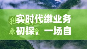 实缴业务初探与心灵的自然美景之旅