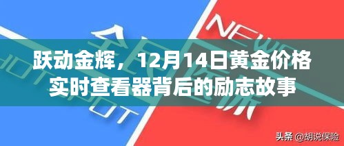 跃动金辉，黄金价格实时查看器背后的励志故事