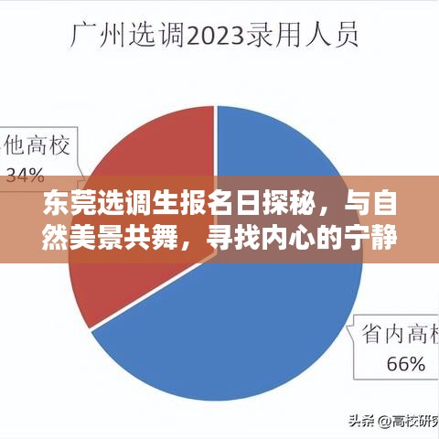 东莞选调生报名日探索，与自然共舞，寻找内心宁静之地