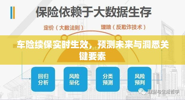 车险续保即时生效，洞悉未来趋势与关键要素解析