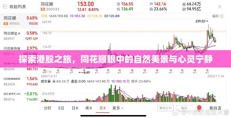 同花顺视角下的港股探索之旅，自然美景与心灵宁静的交融