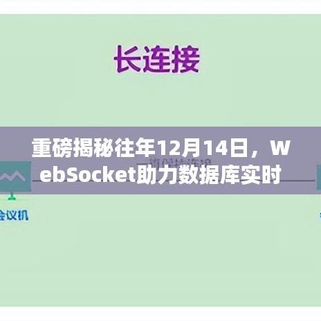 WebSocket助力数据库实时传输飞跃发展，揭秘历年发展历程于重磅时刻揭晓（往年12月14日）