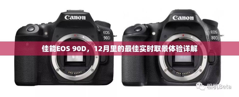 佳能EOS 90D，十二月实时取景体验详解