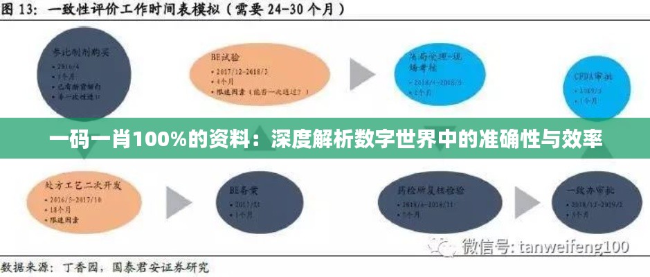 一码一肖100%的资料：深度解析数字世界中的准确性与效率