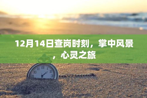 12月14日查岗时刻，掌中风景的心灵之旅