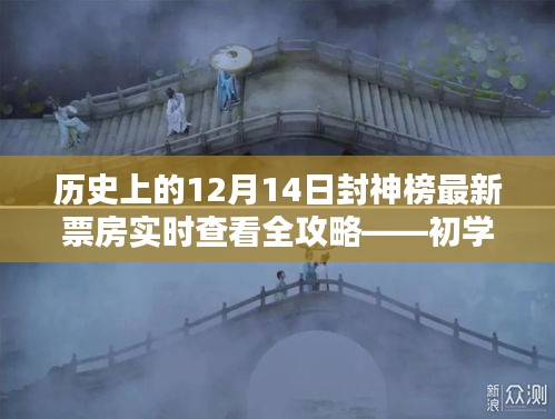 2024年12月16日 第13页