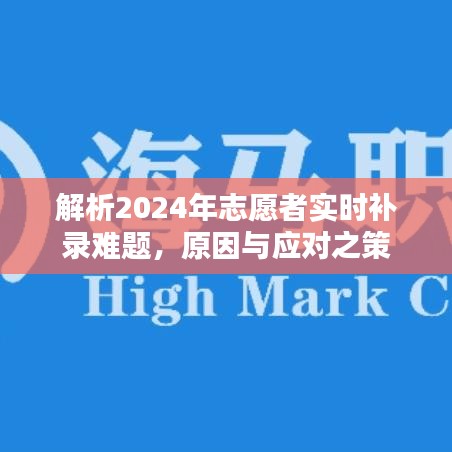 解析志愿者实时补录难题，原因与应对策略（2024年）