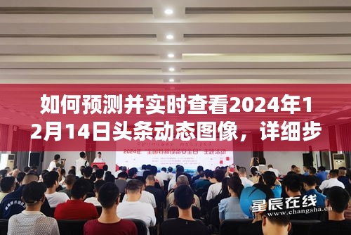 详细步骤指南，预测并实时查看2024年12月14日头条动态图像的方法与技巧