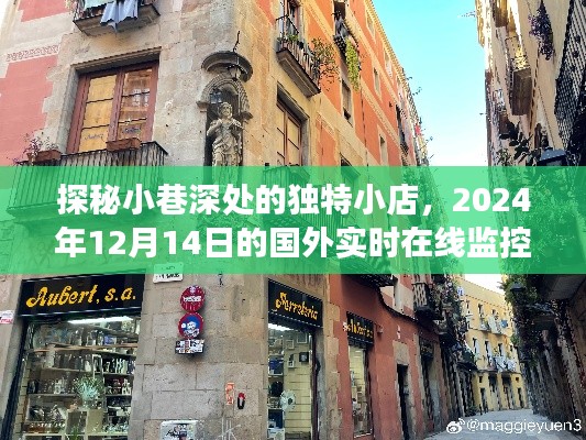 探秘小巷深处独特小店，国外实时在线监控之旅的独家揭秘（2024年12月14日）