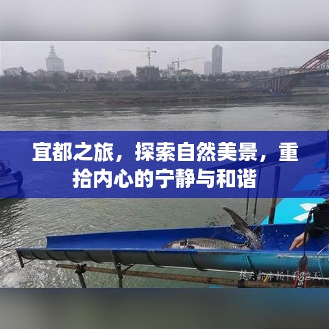 宜都之旅，探寻自然之美，重塑心灵宁静与和谐