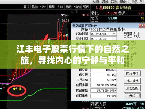 江丰电子股票行情下的自然探索，寻求内心宁静与平和之旅