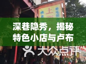 深巷隐秀，特色小店与卢布涨幅背后的故事——实时观察12月14日揭秘