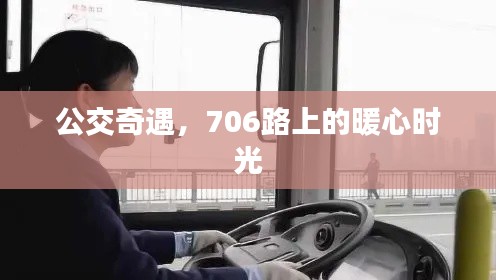 公交奇遇，暖心时光在706路上闪耀