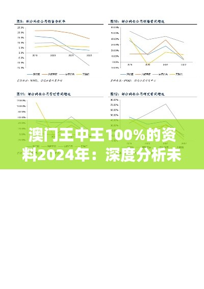 澳门王中王100%的资料2024年：深度分析未来博彩市场的竞争格局