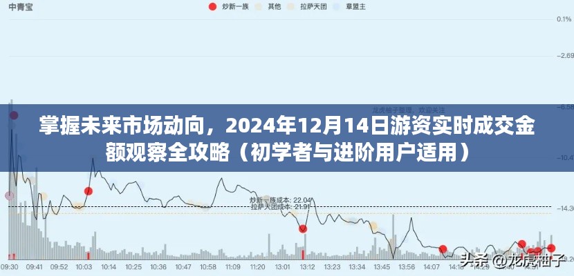 2024年12月17日 第9页