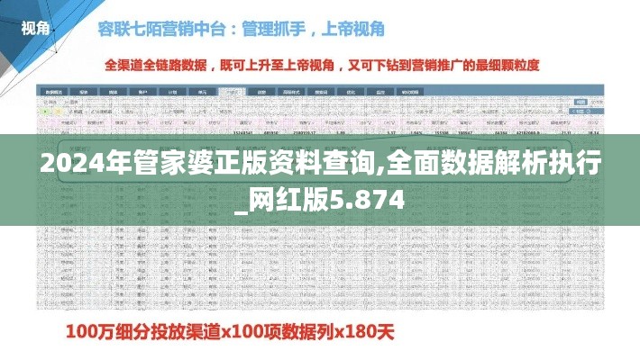 2024年管家婆正版资料查询,全面数据解析执行_网红版5.874