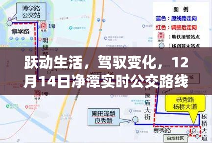 跃动生活，驾驭变化，净坛实时公交背后的励志故事，12月14日启程