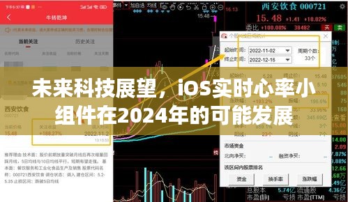 未来科技展望，iOS实时心率小组件在2024年的潜力发展