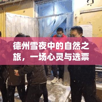 德州雪夜心灵之旅，自然与选票的奇妙交汇