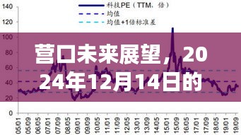 营口未来展望，实时洞察与未来展望（2024年12月14日）