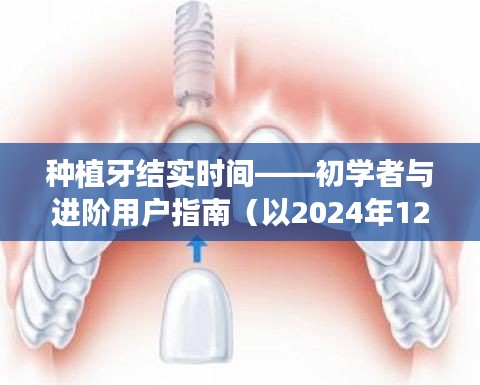 种植牙结实时间指南，初学者与进阶用户必读（2024年种植牙市场深度解析）